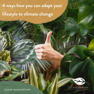 4 Ways How You Can Adapt Your Lifestyle to Climate Change